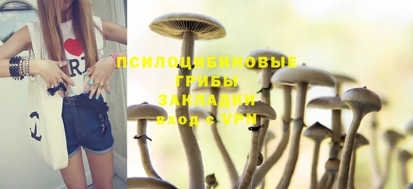 спайс Алзамай
