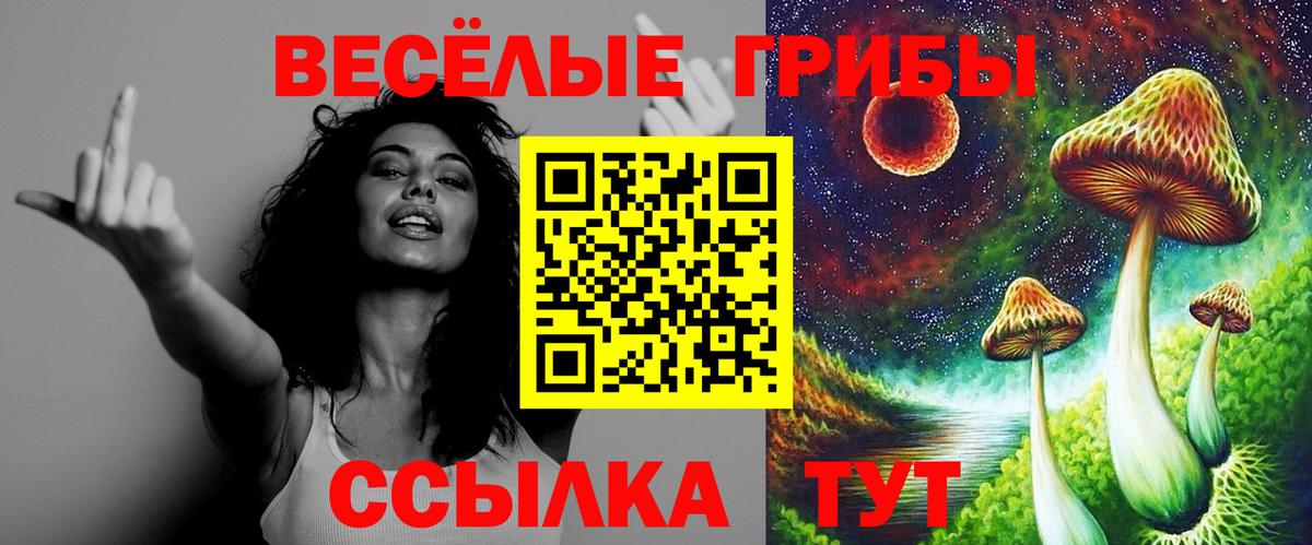 Галлюциногенные грибы мухоморы  Галлюциногенные грибы мухоморы  Новошахтинск  Вход с VPN 