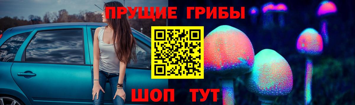 Псилоцибиновые грибы мицелий Новошахтинск