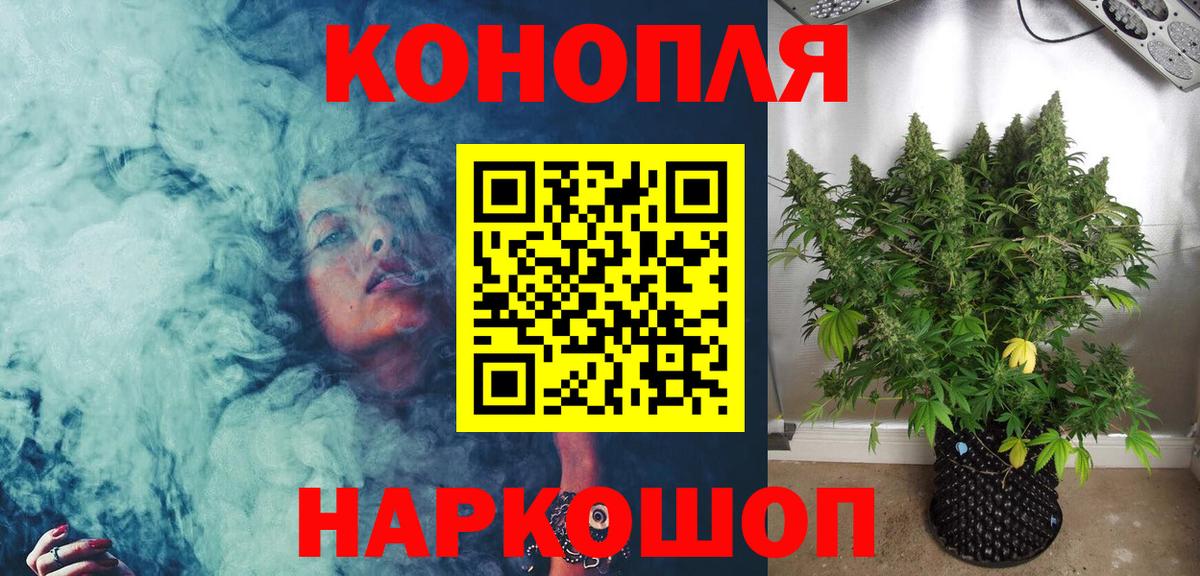 Шишки марихуана планчик  Вход с VPN  Бошки Шишки SATIVA & INDICA  Бошки Шишки конопля  Шишки марихуана марихуана  Новошахтинск 